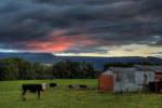 Kangaroo Valley farmland 3